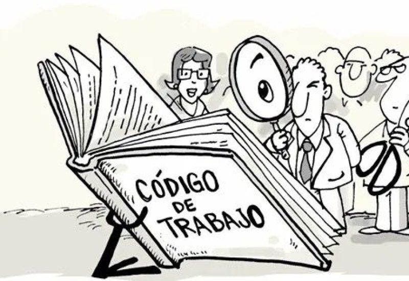 Imagen de WhatsApp 2025-07-10 a las 15.53.56_b564bbd6